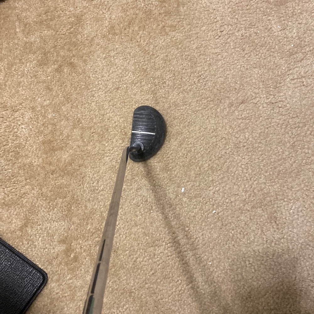Zebra putter